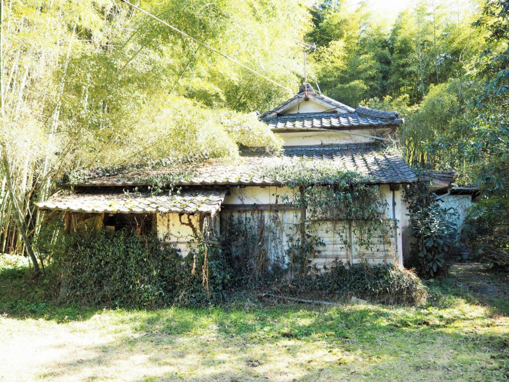 草木に囲まれた空き家の外観