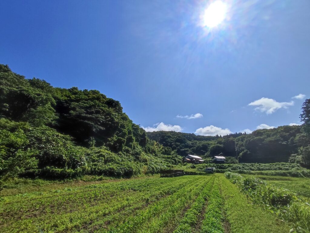 実家整理を考える家族のイメージ