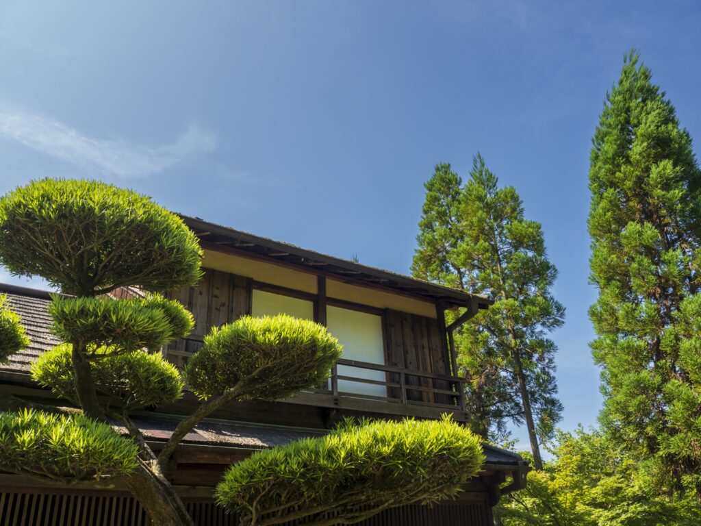 庭木のある古い家の外観
